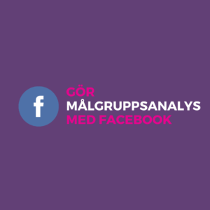 så gör du målgruppsanalys med facebook