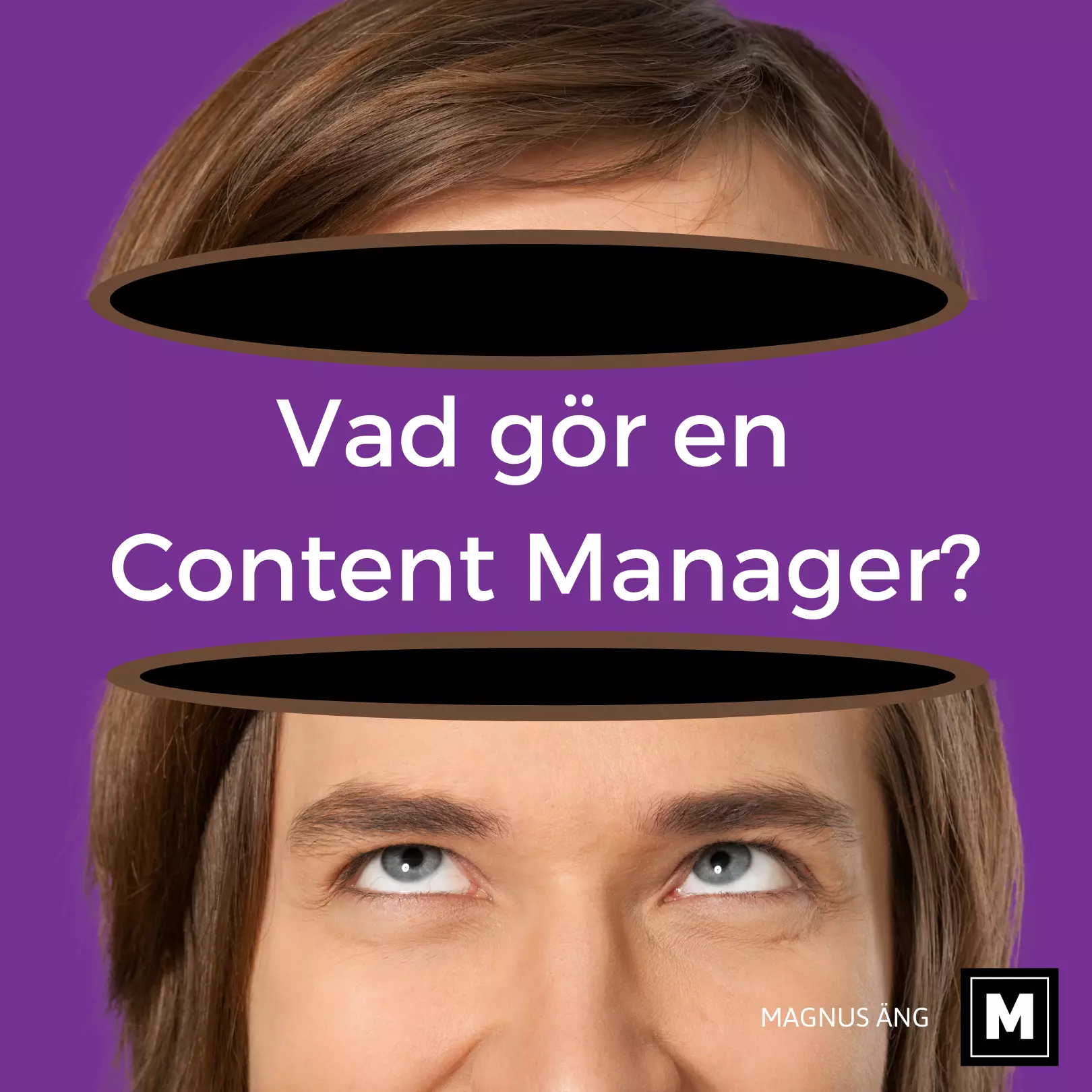 Vad r En Content Manager 2021 